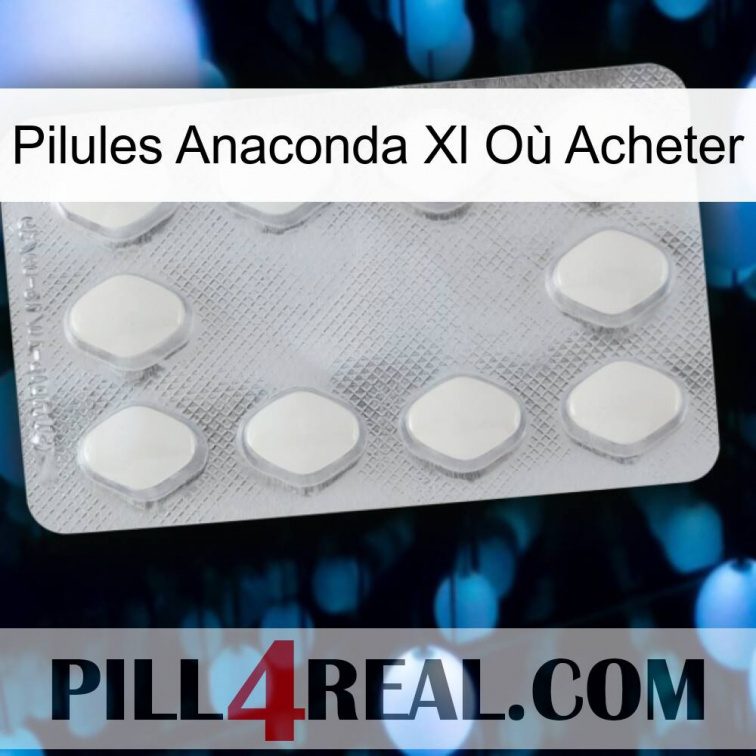 Pilules Anaconda Xl Où Acheter 16
